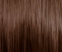 PUR HAIR Haarfarbe 5.4 Hellbraun Kupfer, 3x 60 ml