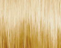 PUR HAIR Haarfarbe 10.3 Lichtblond Gold, 3x 60 ml