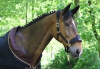 Fleecehalfter schwarz-braun Pony