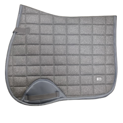 Warmblut Springen